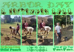 Arbor Day 2022